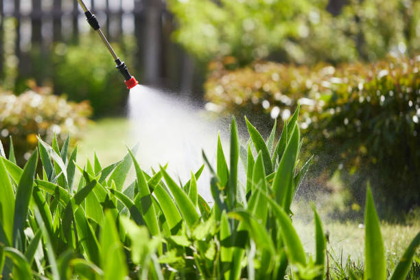 24/7 Emergency Ant Control experts in Marshall, MI
