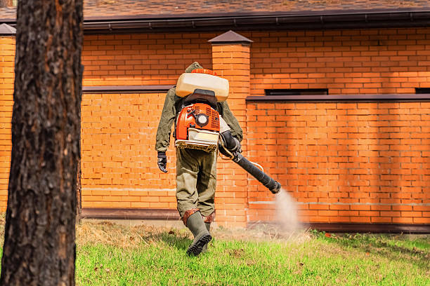 Top rated local Ant Control specialists in Marshall, MI
